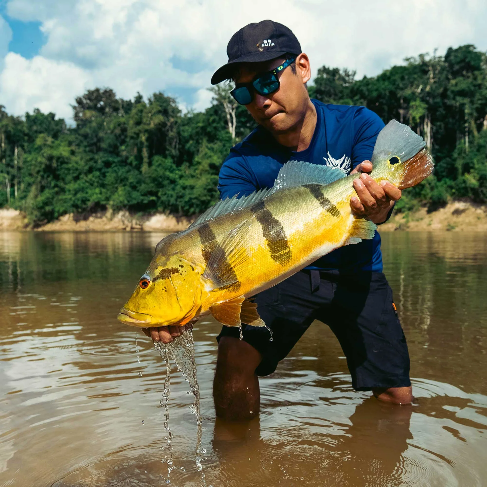 Welcome to Our Store